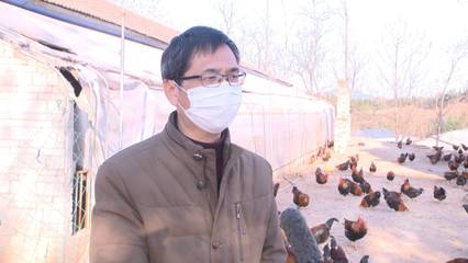 家禽不好卖？政府来帮忙——新干县多措并举助力家禽养殖业抗击疫情冲击