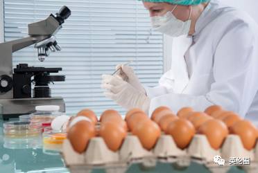70万毒鸡蛋流入英国，已下架13种产品 哪些食物要小心？